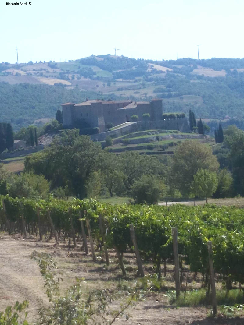CASTELLO DI MONTEPò 3
